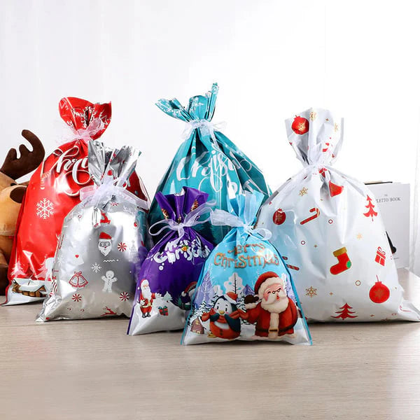 50-Piece Gift Bag & Tags Set