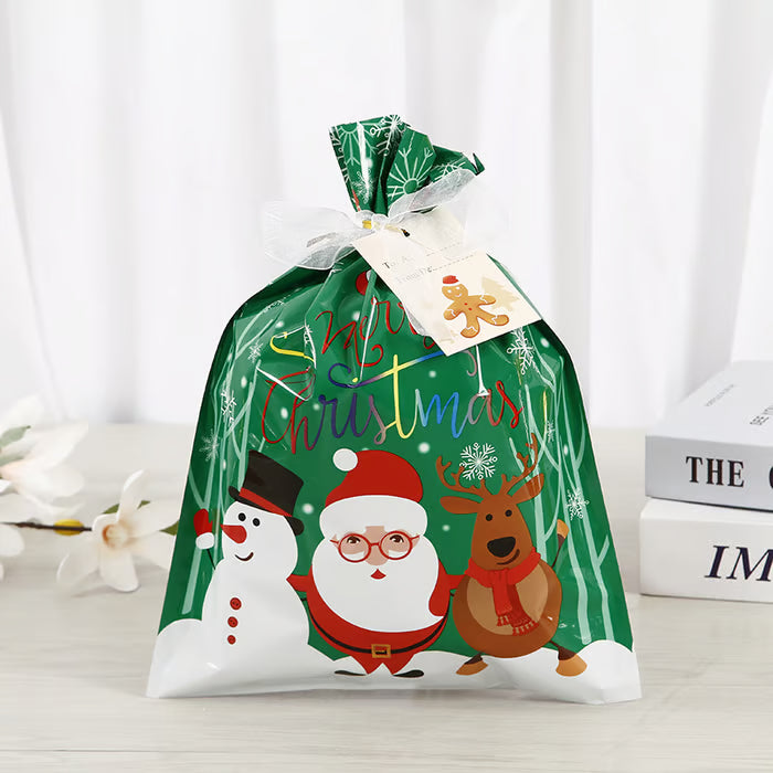 50-Piece Gift Bag & Tags Set